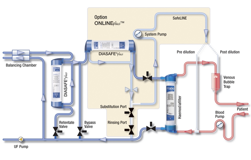 DIASAFE ONLINE plus